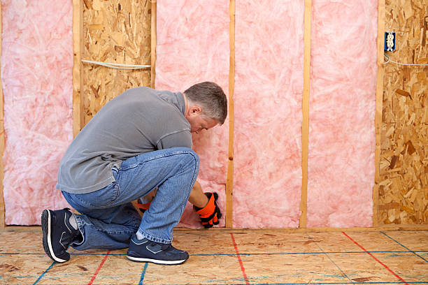 Best Insulation Maintenance and Repair in Wye, MT