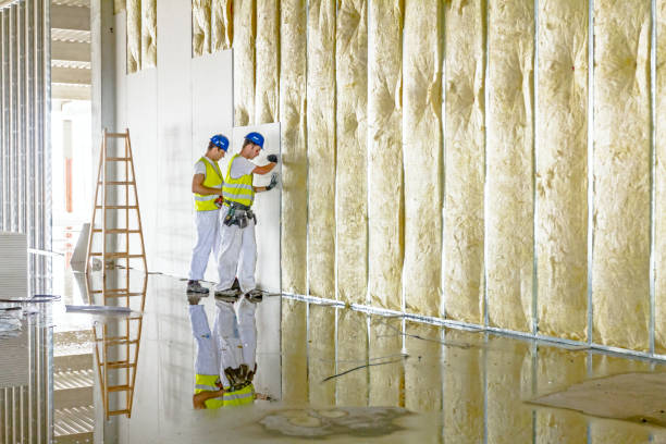 Best Geographic-Specific Insulation Services in Wye, MT
